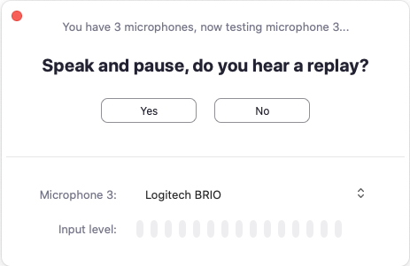 Zoom microphone test dialog asking Speak and pause, do you hear a replay?