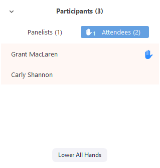 Zoom participants list showing attendees with raised hands and the Lower All Hands button