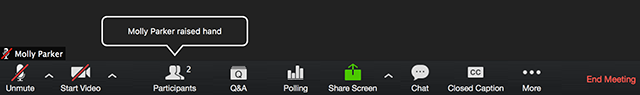 Zoom notification showing that a participant raised their hand